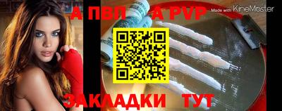 мдпв Новозыбков