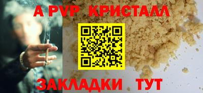 мдпв Новозыбков