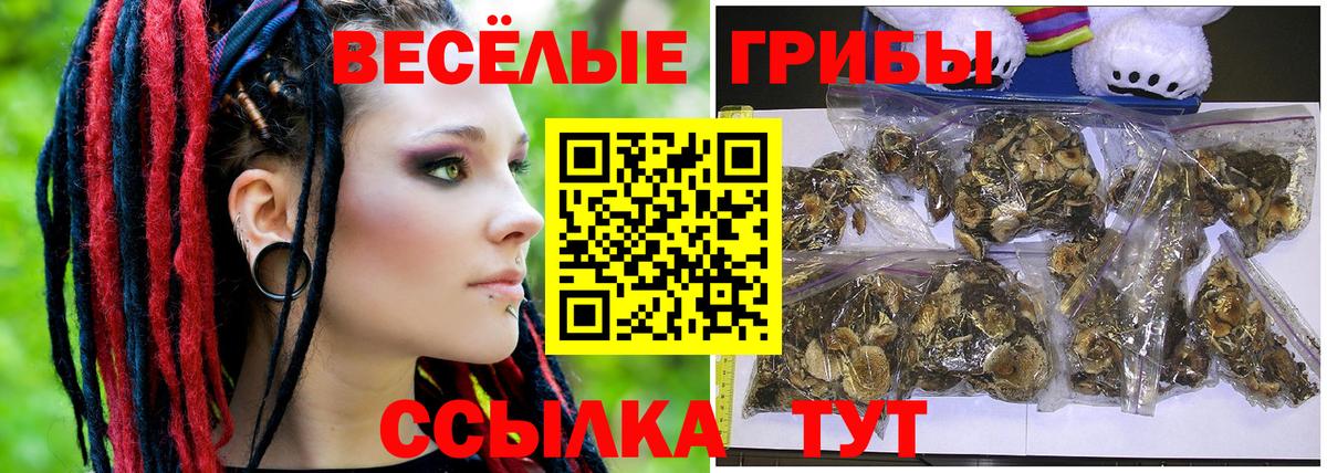 Белая Калитва  Псилоцибиновые грибы Psilocybine cubensis  Псилоцибиновые грибы Psilocybe  Вход с VPN 