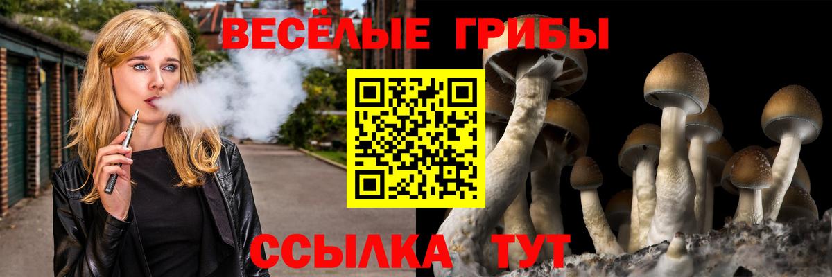 Псилоцибиновые грибы Psilocybine cubensis Белая Калитва